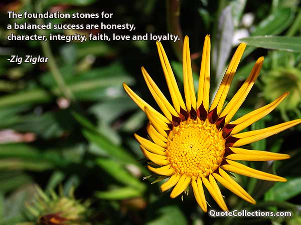 Zig Ziglar Quotes8